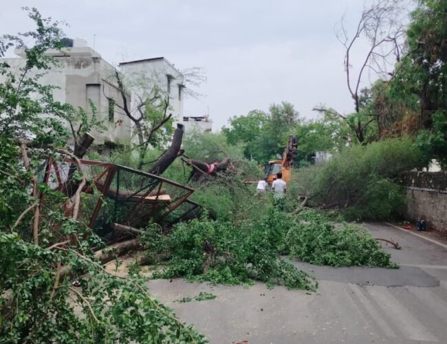 मदार नहर के रास्ते पर गिरा बडा पेड