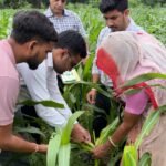 गिर्वा क्षेत्र के विभिन्न खेतों में कृषि विभाग ने किया रैपिड रोविंग सर्वे