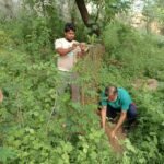 दावल शाह दरगाह में पौधारोपण अभियान, चावंड के मौतवीर नौजवान कमेटी ने लिया पर्यावरण संरक्षण का संकल्प