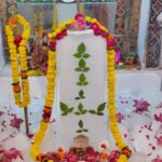 2.5क्विंटल बर्फ की सिल्लियों से अमरनाथ महादेव की झांकी