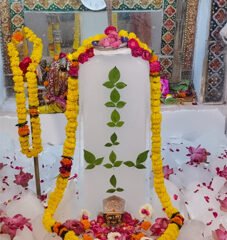 2.5क्विंटल बर्फ की सिल्लियों से अमरनाथ महादेव की झांकी