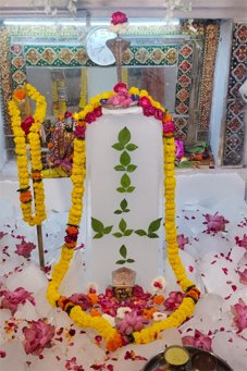 2.5क्विंटल बर्फ की सिल्लियों से अमरनाथ महादेव की झांकी
