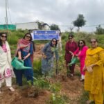 इनरव्हील दीवाज ने हरियाली अमावस्या पर 2100 पौधे लगाकर दिया पर्यावरण संरक्षण का संदेश