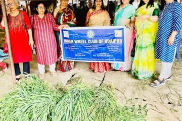 महाकालेश्वर मंदिर की गौशाला में गौ-सेवा कर मनाया जन्मदिन