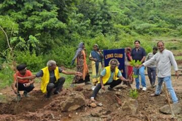 लायंस क्लब उदयपुर ने रौनक विहार में रोपी हरियाली, 51 छायादार व फलदार पौधे लगाएं