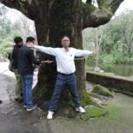 आबू में मिला देश का दूसरा सबसे मोटा सफेदा वृक्ष