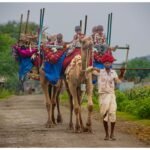 देश की प्रतिष्ठित ‘इंडियन अकादमी ऑफ फाइन आर्ट’ की वार्षिक प्रदर्शनी-2026 में पूर्व प्रशासनिक अधिकारी दिनेश कोठारी की दो कृतियाँ चयनित
