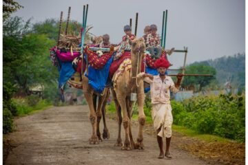 देश की प्रतिष्ठित ‘इंडियन अकादमी ऑफ फाइन आर्ट’ की वार्षिक प्रदर्शनी-2026 में पूर्व प्रशासनिक अधिकारी दिनेश कोठारी की दो कृतियाँ चयनित